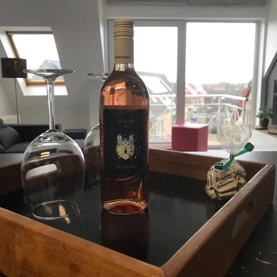 De Wolfkes Apartment Ostend