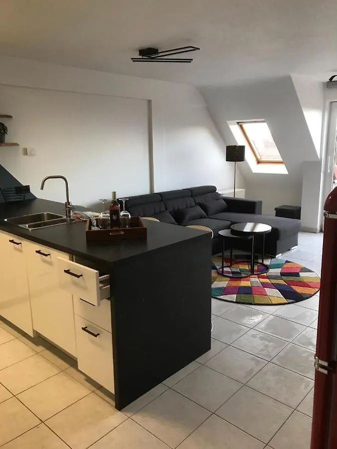De Wolfkes Apartment Ostend